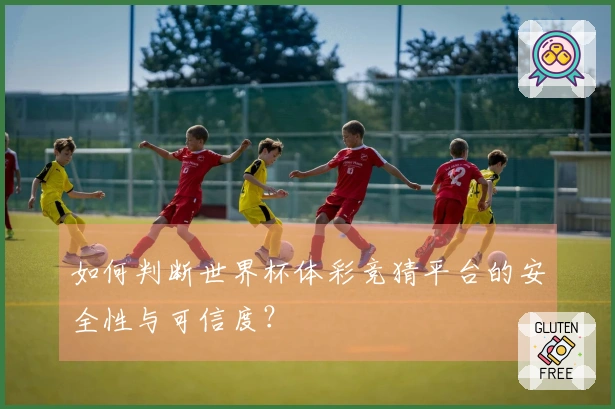 如何判断世界杯体彩竞猜平台的安全性与可信度？