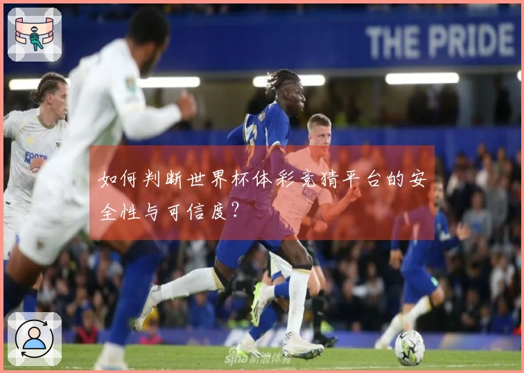 如何判断世界杯体彩竞猜平台的安全性与可信度？
