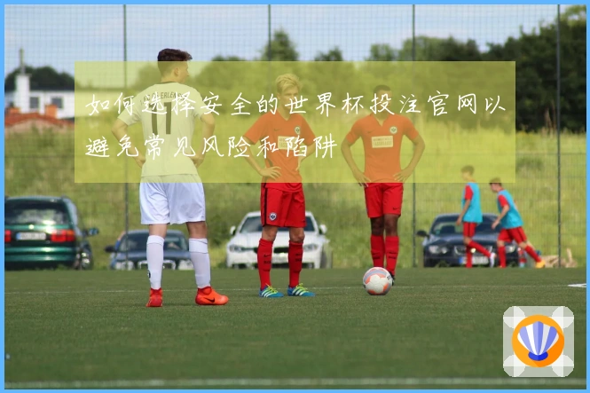 如何选择安全的世界杯投注官网以避免常见风险和陷阱