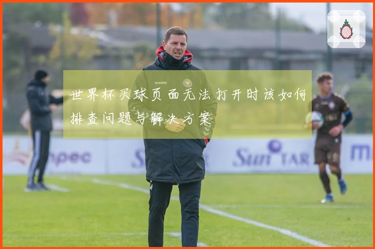 世界杯买球页面无法打开时该如何排查问题与解决方案