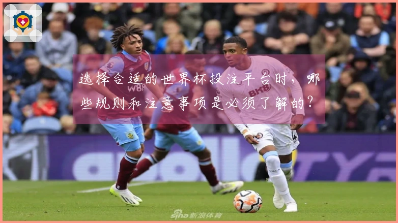 选择合适的世界杯投注平台时，哪些规则和注意事项是必须了解的？